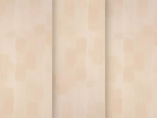 Rembrandt 4905 - champagne