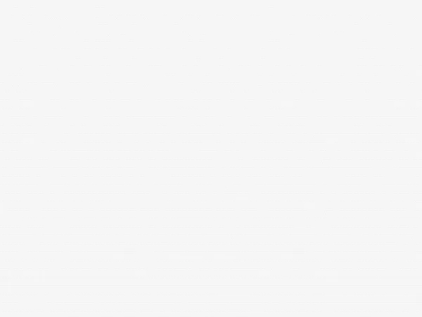 Madagaskar 051 - biela  - (zatemňujúca)