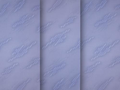 Madeira 4712 - modrá