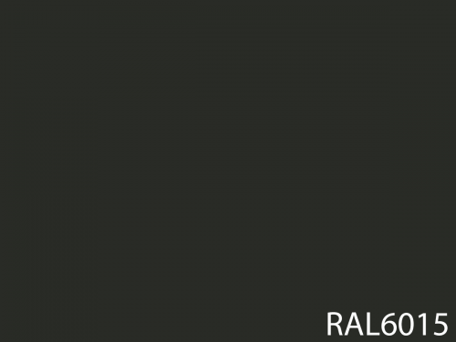 RAL 6015