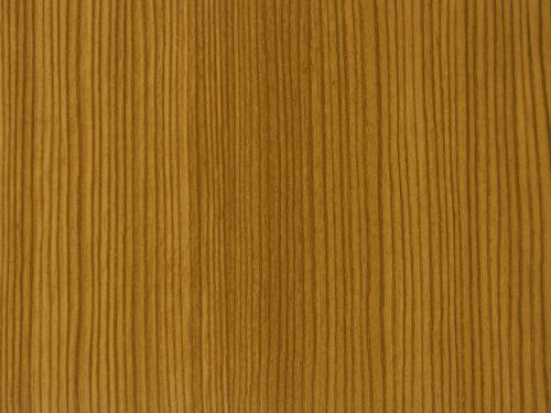 23 - Borovica horská