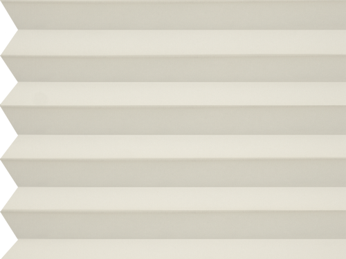 Coral 101 - Slonová kosť