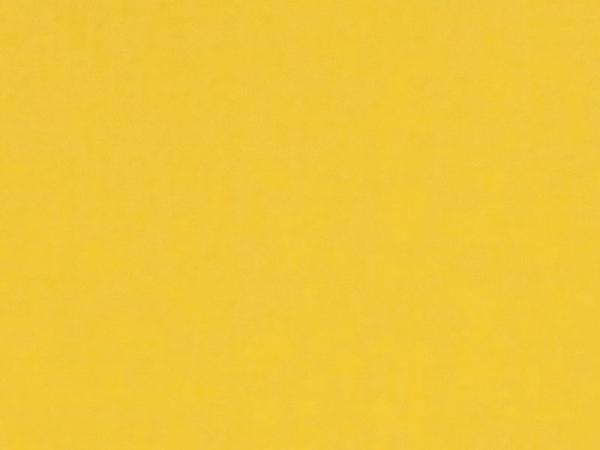 Carina 4983 - svetložltá