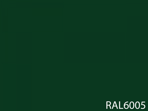RAL 6005