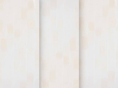 Rembrandt 4903 - slonová kosť