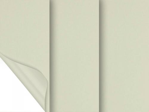 Madagaskar 052 (zatemňujúca) - champagne