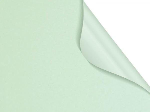 Madagaskar 055 (zatemňujúca) - Bledozelená