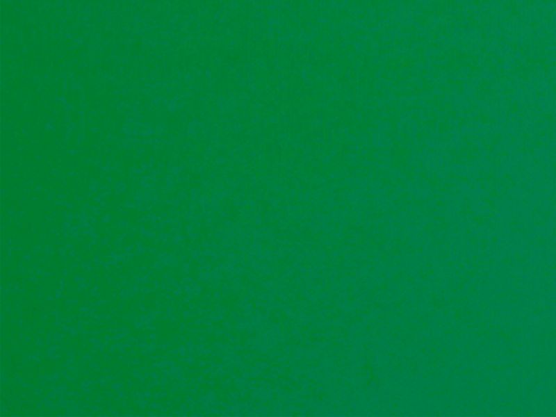 Carina 10111 - sýtozelená