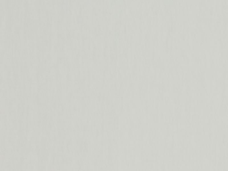 Carina 4934 - bledosivá