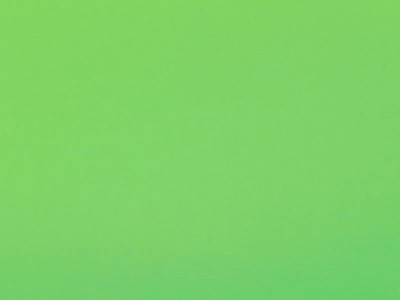 Carina 4979 - hrášková