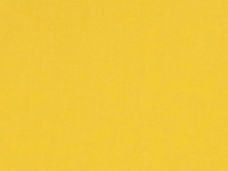 Carina 4983 - svetložltá