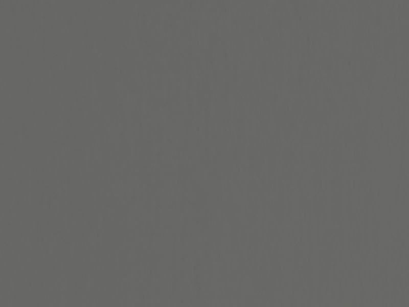 Carina 4993 - tmavosivá