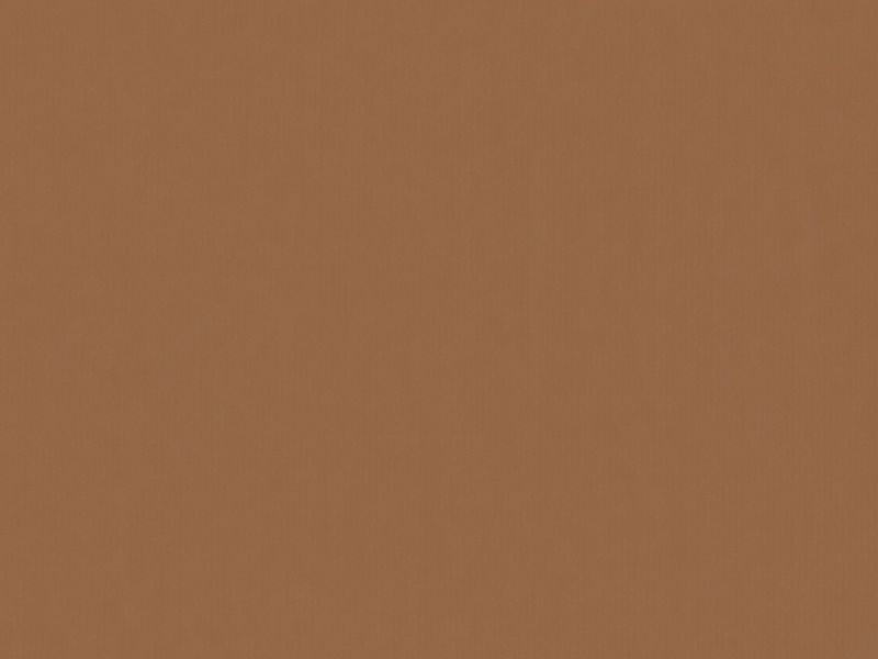 Carina 5005 - mliečna čokolada