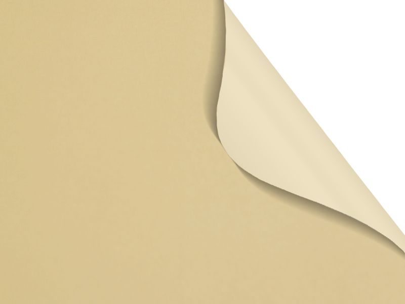 Carina BO 7909 - slonová kosť